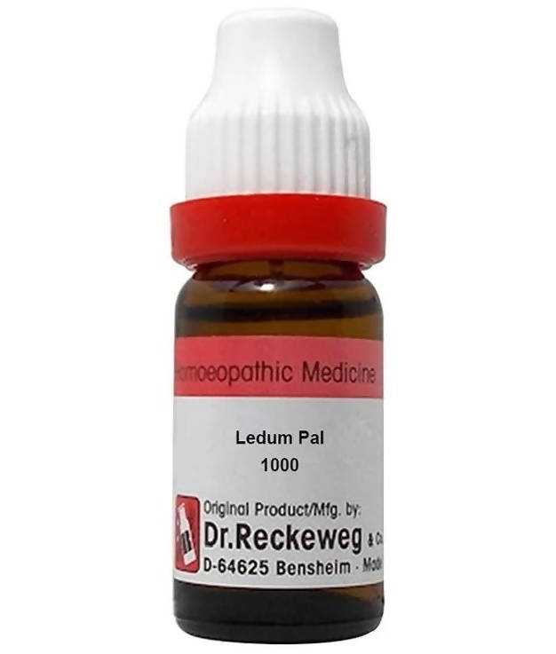 Dr. Reckeweg Ledum Pal Dilution