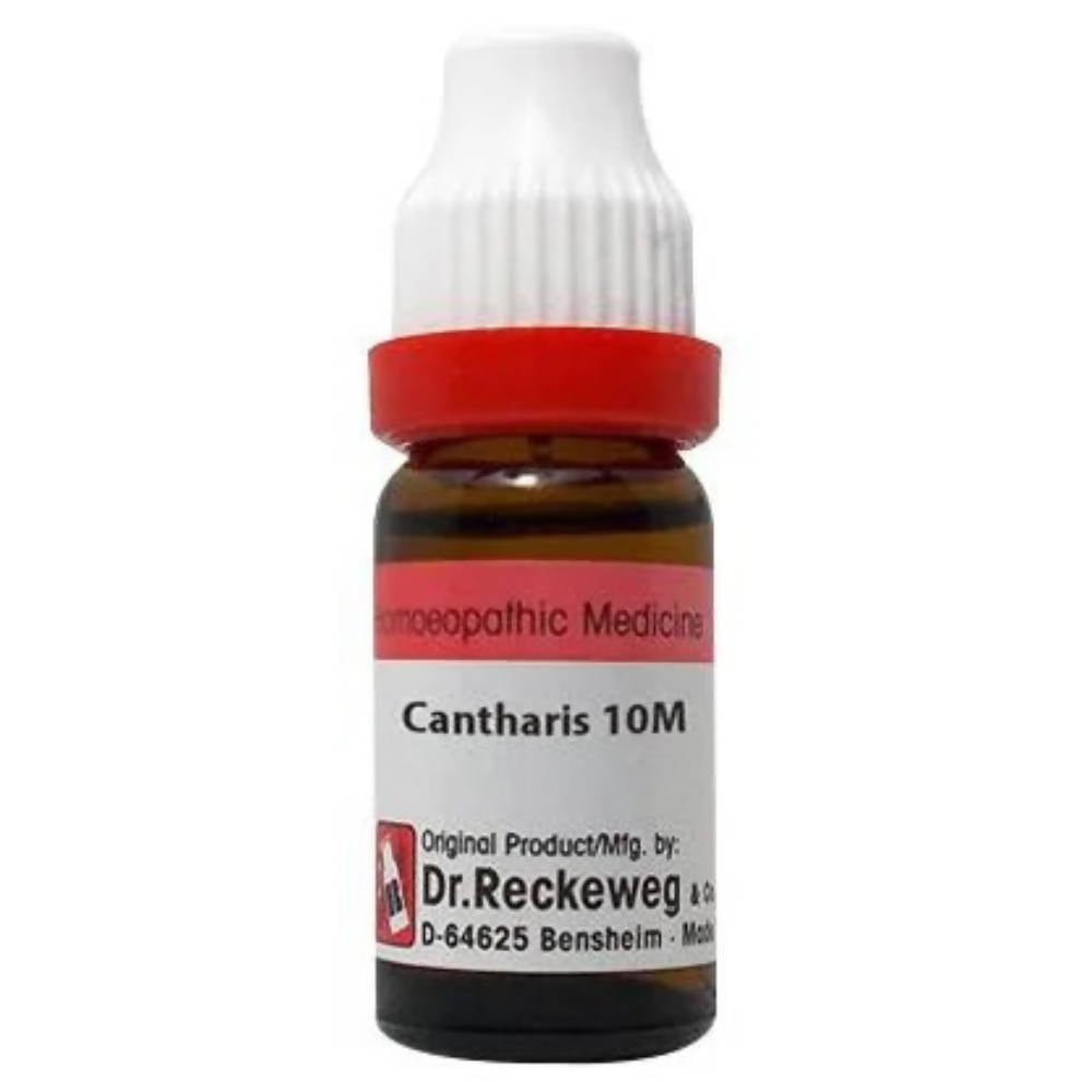 Dr. Reckeweg Cantharis Dilution