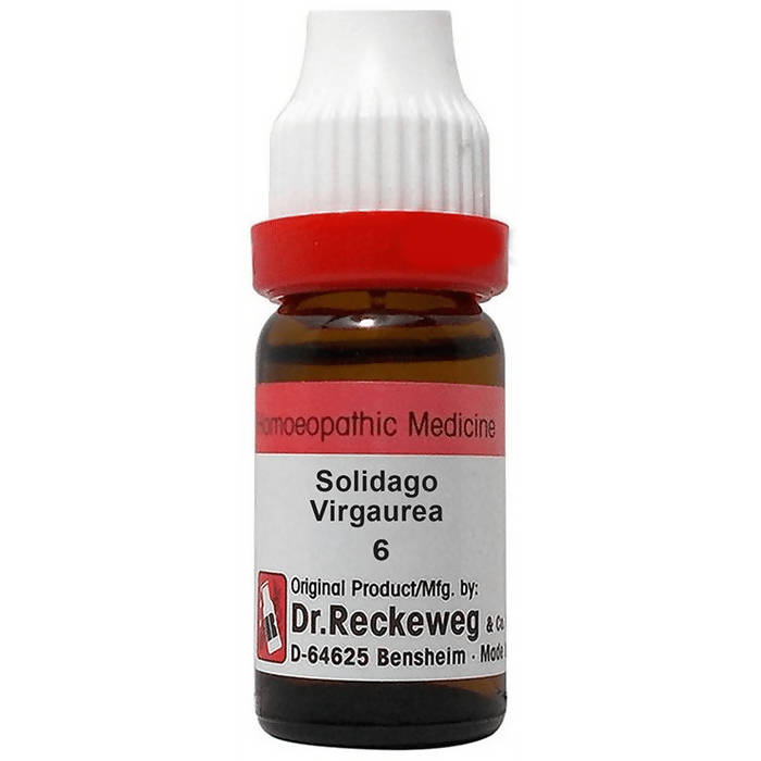 Dr. Reckeweg Solidago Virgaurea Dilution