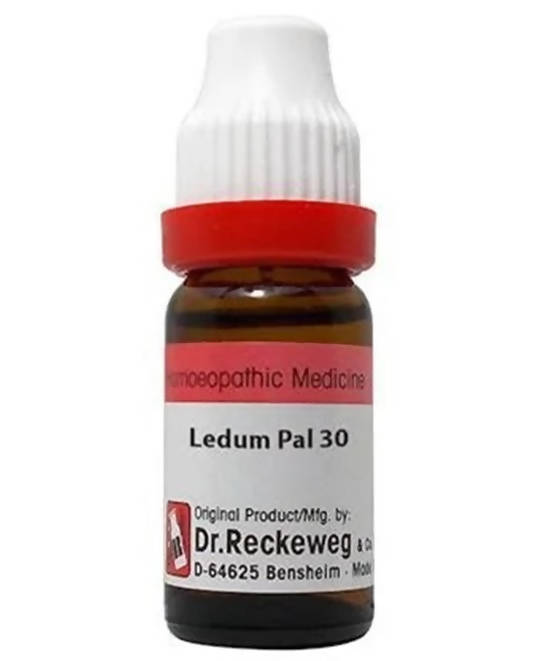 Dr. Reckeweg Ledum Pal Dilution