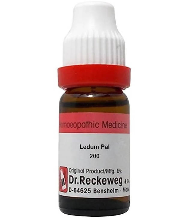 Dr. Reckeweg Ledum Pal Dilution