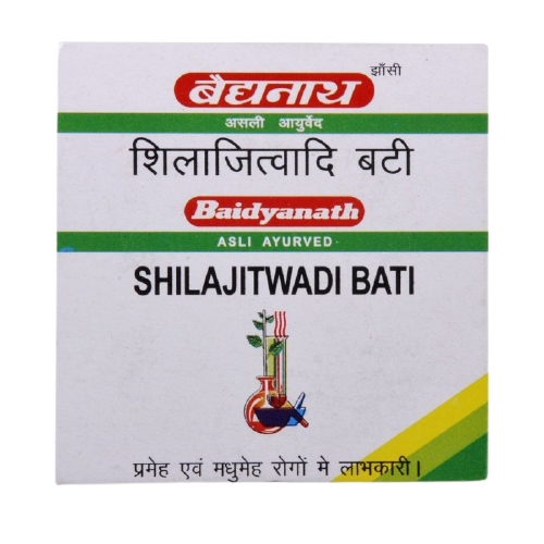 Baidyanath Jhansi SJwadi Bati (Ordinary)