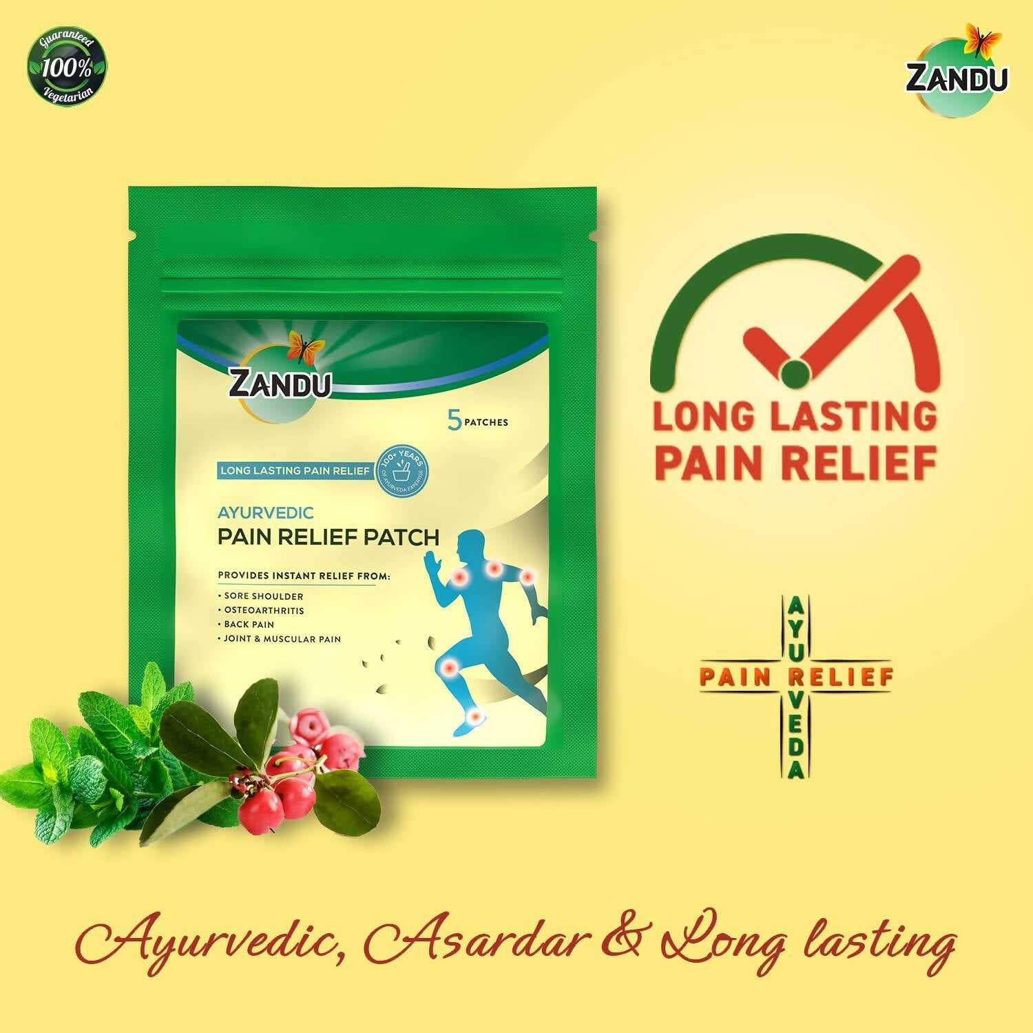 Zandu Ayurvedic Pain Relief Patch