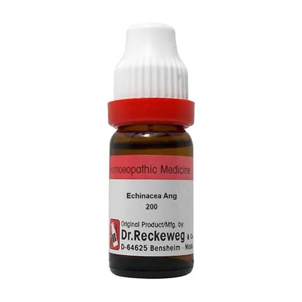 Dr. Reckeweg Echinacea Ang Dilution