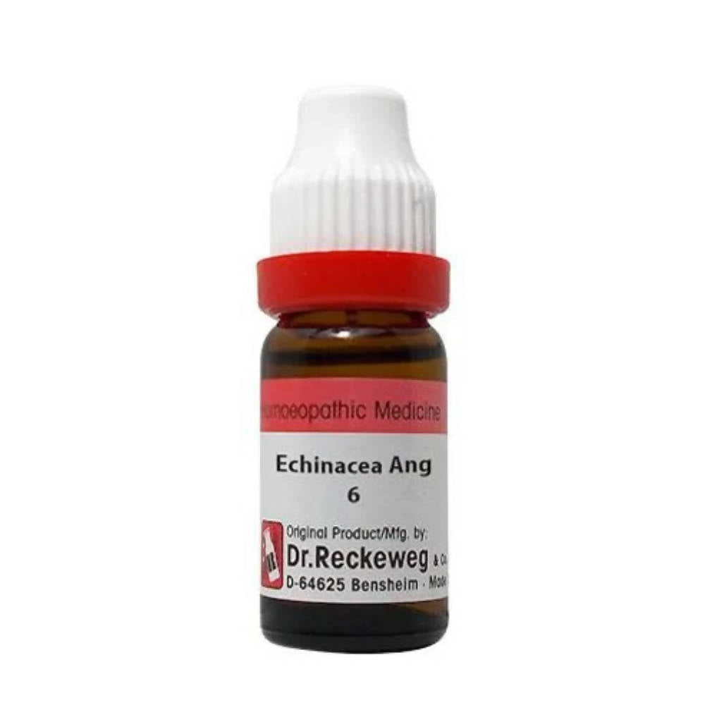 Dr. Reckeweg Echinacea Ang Dilution