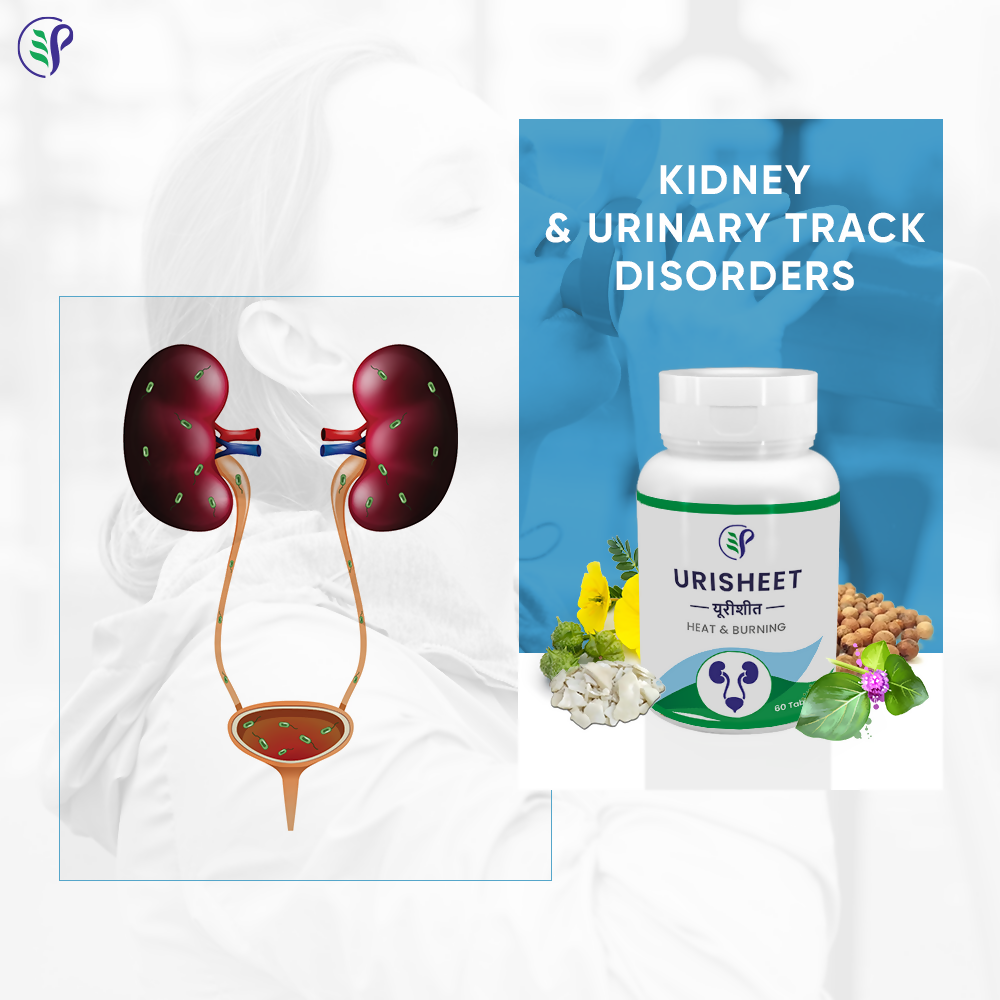 Pathak Ayurvedic Pharmacy Urisheet Tablets