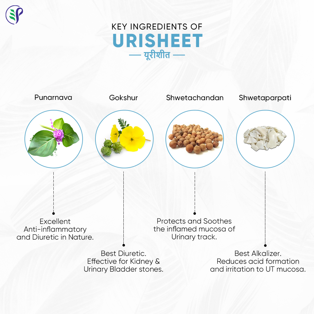 Pathak Ayurvedic Pharmacy Urisheet Tablets