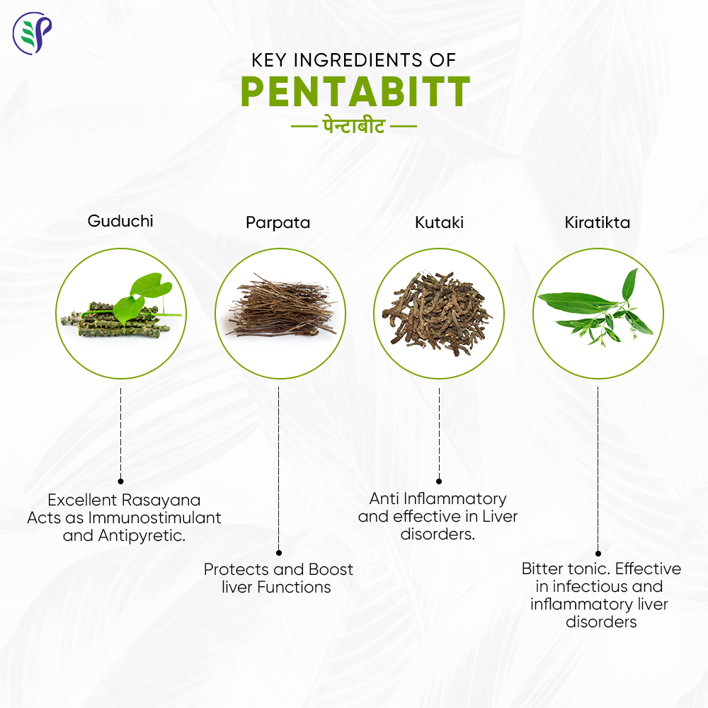 Pathak Ayurvedic Pharmacy Pentabitt Tablets