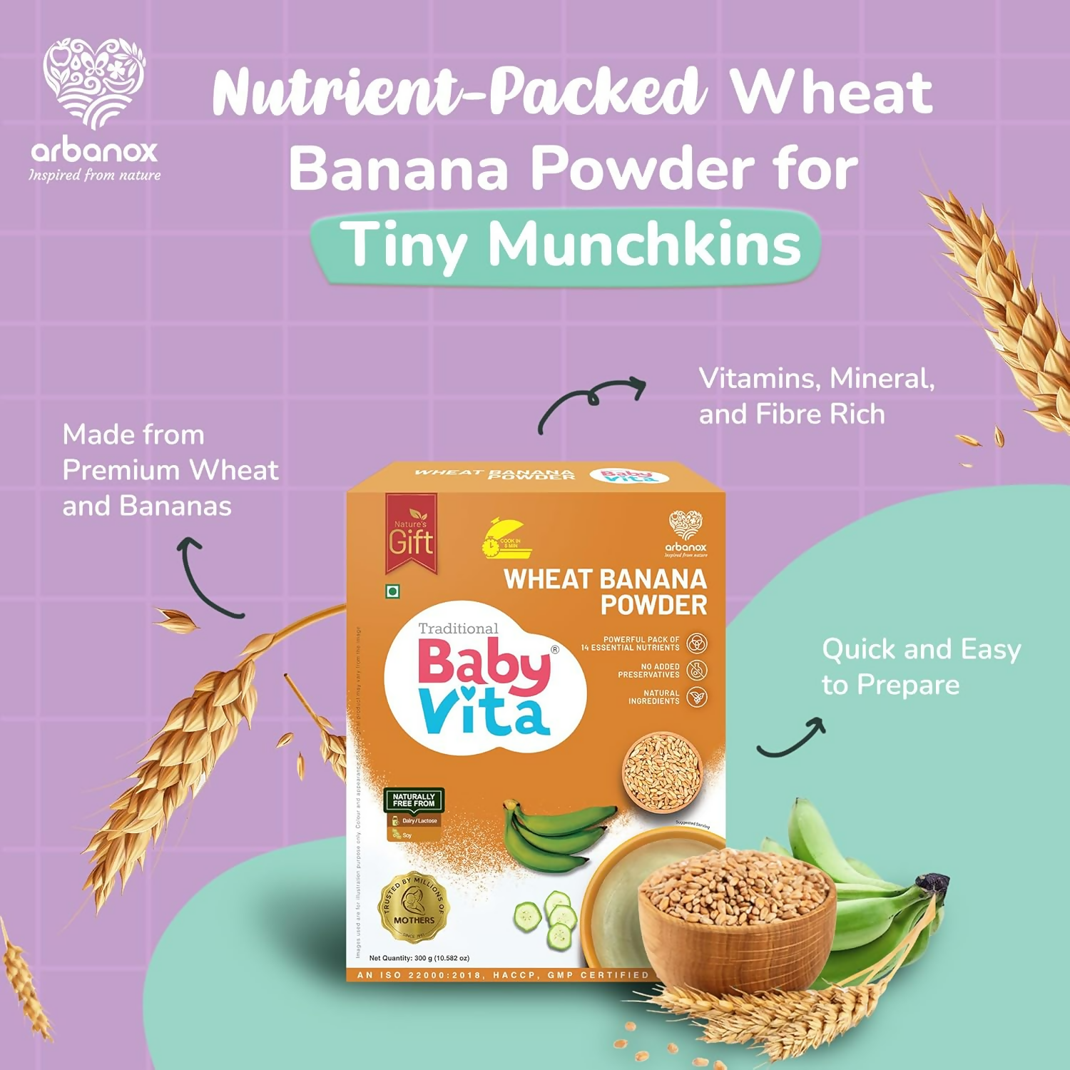 Babyvita Arbanox Wheat Banana Powder Mix