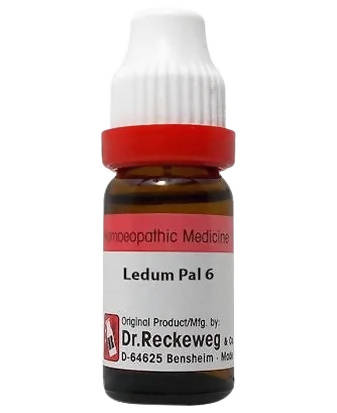 Dr. Reckeweg Ledum Pal Dilution