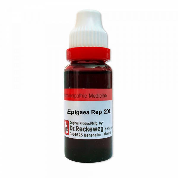 Dr. Reckeweg Epigaea Rep Mother Tincture Q