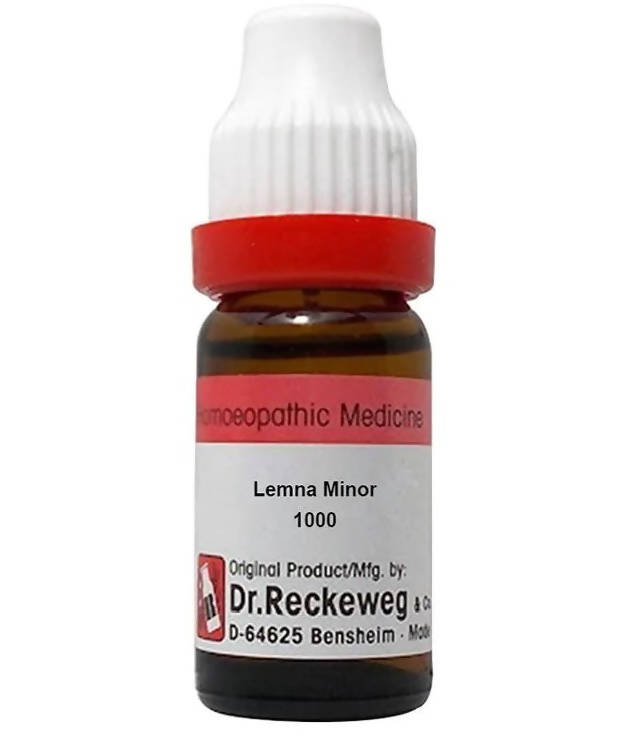 Dr. Reckeweg Lemna Minor Dilution