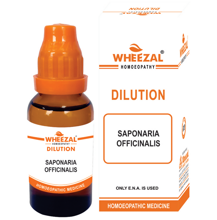 Wheezal Homeopathy Saponaria Officinalis Dilution