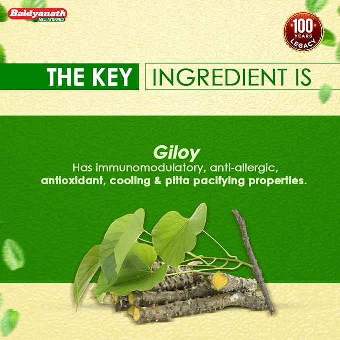 Baidyanath Guduchi (Giloy) Churna - Helps Boost Immunity - 100 gm